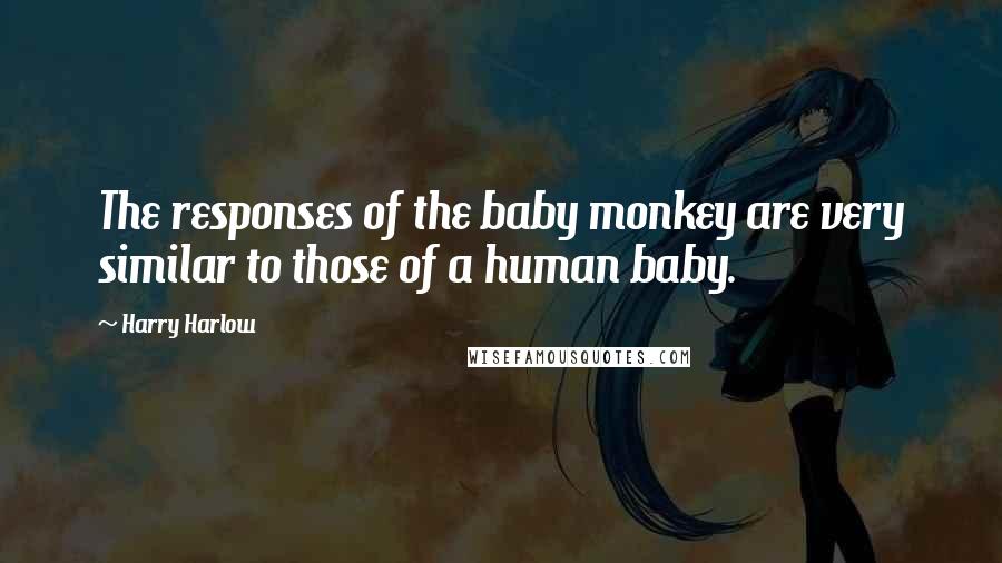 Harry Harlow Quotes: The responses of the baby monkey are very similar to those of a human baby.