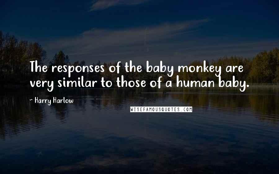 Harry Harlow Quotes: The responses of the baby monkey are very similar to those of a human baby.