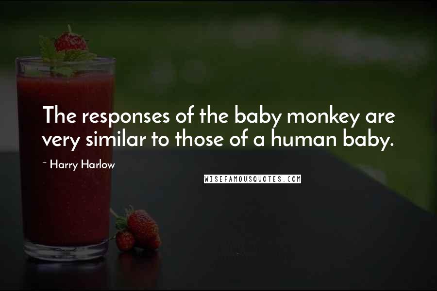 Harry Harlow Quotes: The responses of the baby monkey are very similar to those of a human baby.