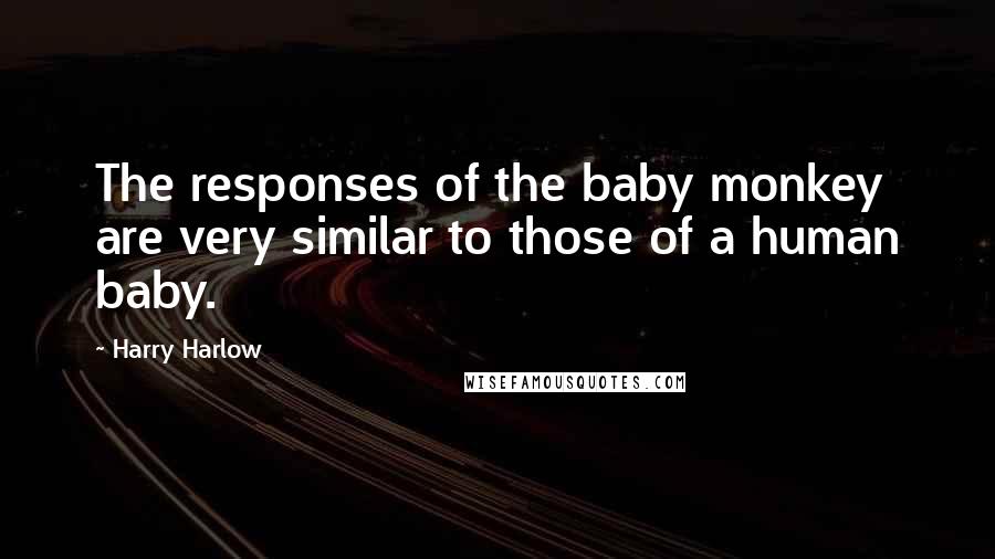 Harry Harlow Quotes: The responses of the baby monkey are very similar to those of a human baby.