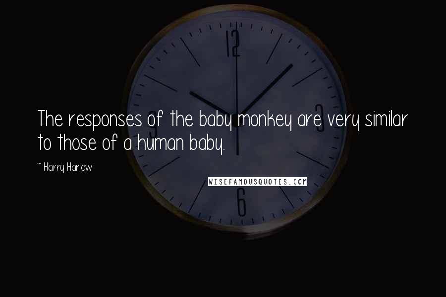 Harry Harlow Quotes: The responses of the baby monkey are very similar to those of a human baby.