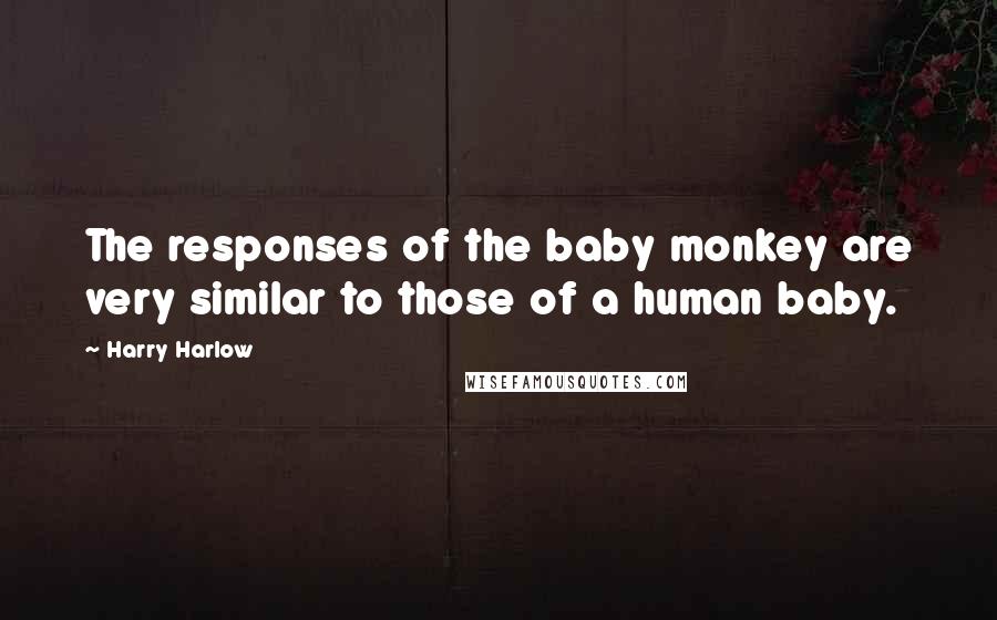 Harry Harlow Quotes: The responses of the baby monkey are very similar to those of a human baby.