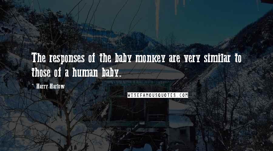 Harry Harlow Quotes: The responses of the baby monkey are very similar to those of a human baby.