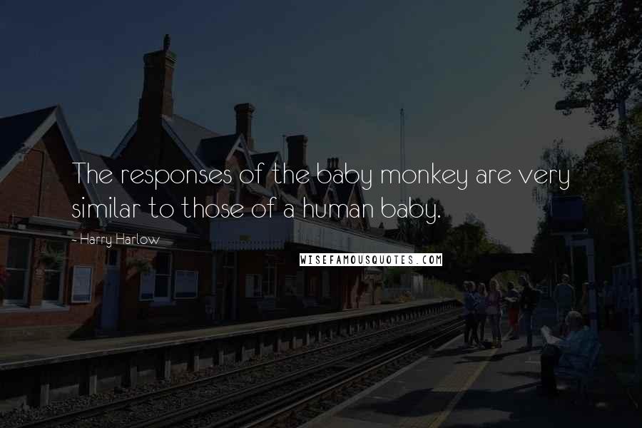 Harry Harlow Quotes: The responses of the baby monkey are very similar to those of a human baby.