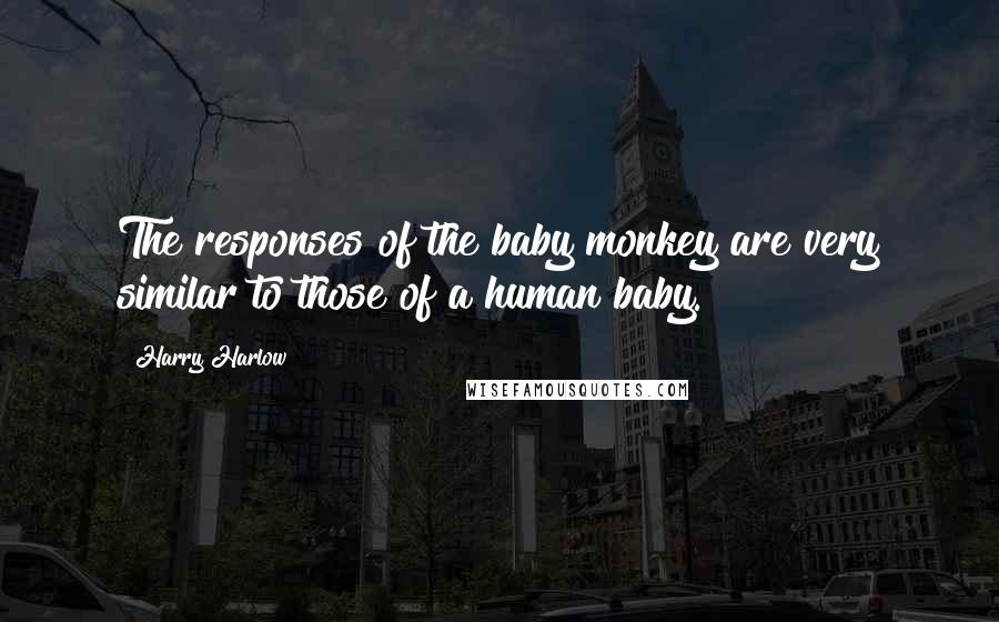 Harry Harlow Quotes: The responses of the baby monkey are very similar to those of a human baby.