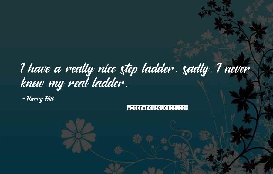 Harry Hill Quotes: I have a really nice step ladder, sadly, I never knew my real ladder.
