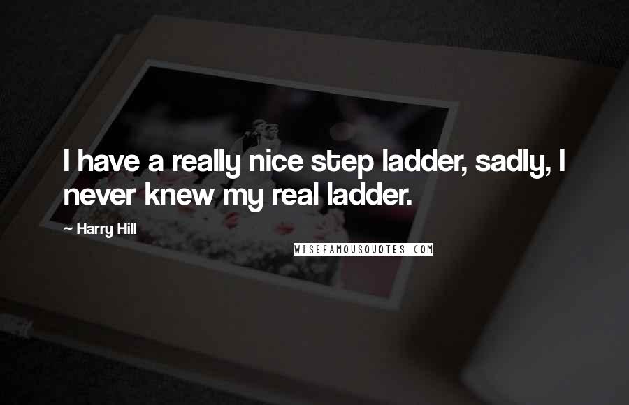 Harry Hill Quotes: I have a really nice step ladder, sadly, I never knew my real ladder.