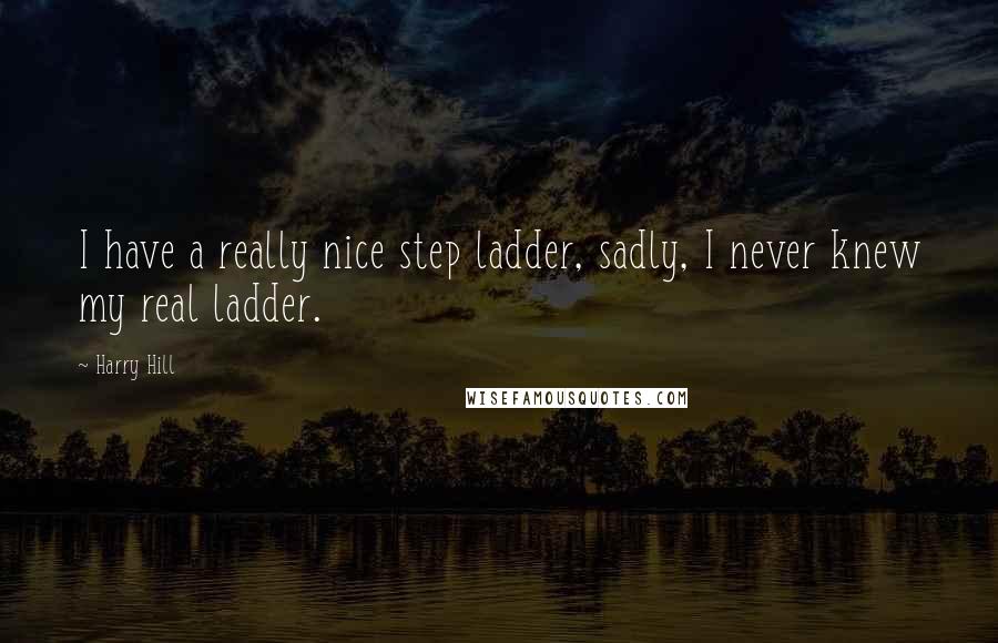 Harry Hill Quotes: I have a really nice step ladder, sadly, I never knew my real ladder.