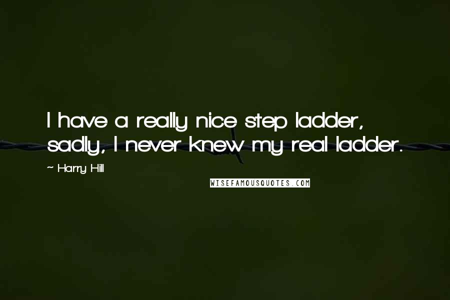 Harry Hill Quotes: I have a really nice step ladder, sadly, I never knew my real ladder.