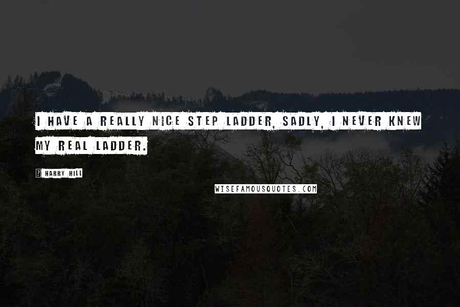 Harry Hill Quotes: I have a really nice step ladder, sadly, I never knew my real ladder.