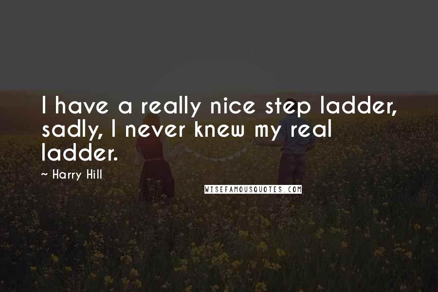 Harry Hill Quotes: I have a really nice step ladder, sadly, I never knew my real ladder.