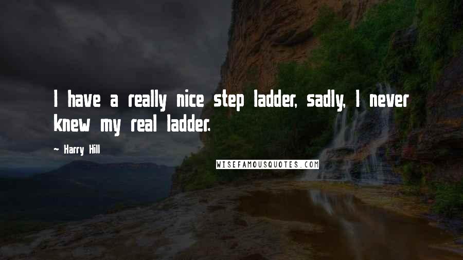 Harry Hill Quotes: I have a really nice step ladder, sadly, I never knew my real ladder.
