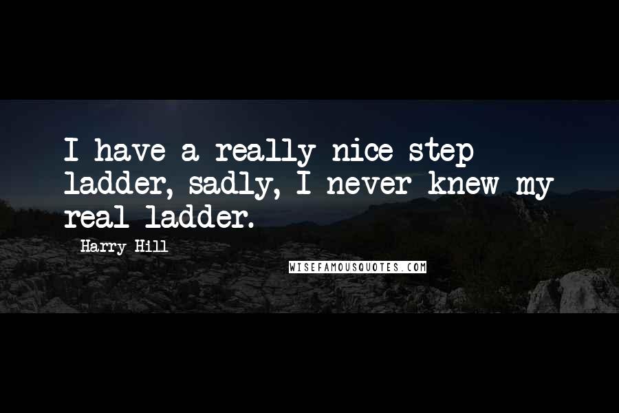 Harry Hill Quotes: I have a really nice step ladder, sadly, I never knew my real ladder.