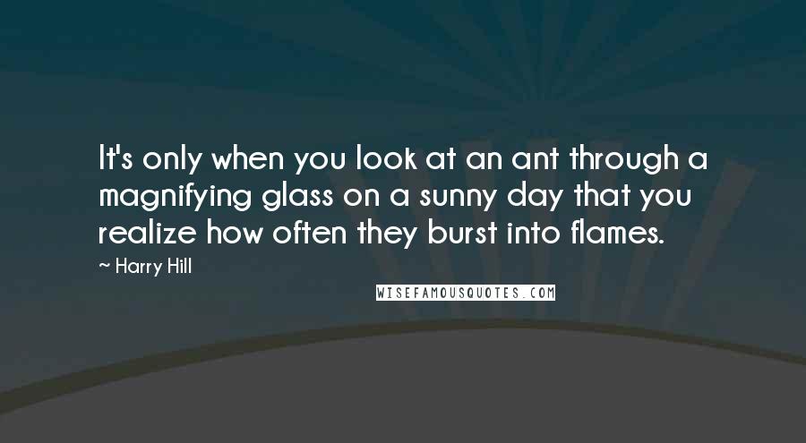 Harry Hill Quotes: It's only when you look at an ant through a magnifying glass on a sunny day that you realize how often they burst into flames.
