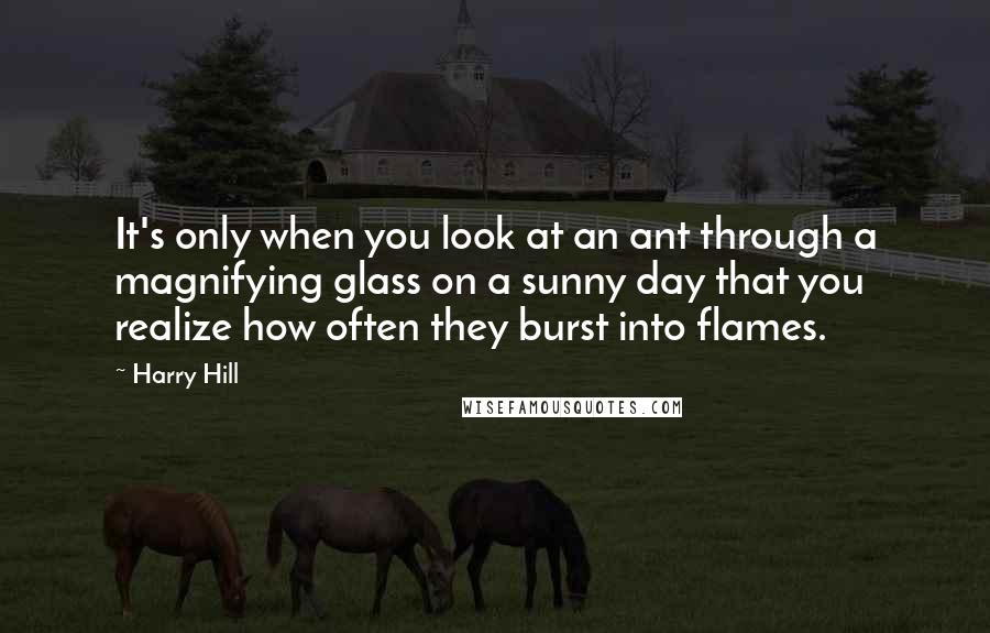 Harry Hill Quotes: It's only when you look at an ant through a magnifying glass on a sunny day that you realize how often they burst into flames.