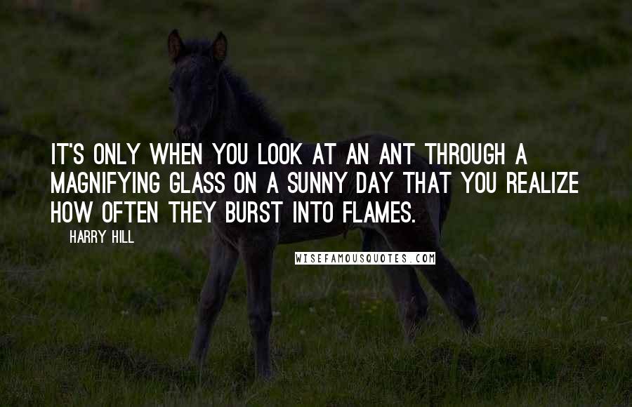 Harry Hill Quotes: It's only when you look at an ant through a magnifying glass on a sunny day that you realize how often they burst into flames.