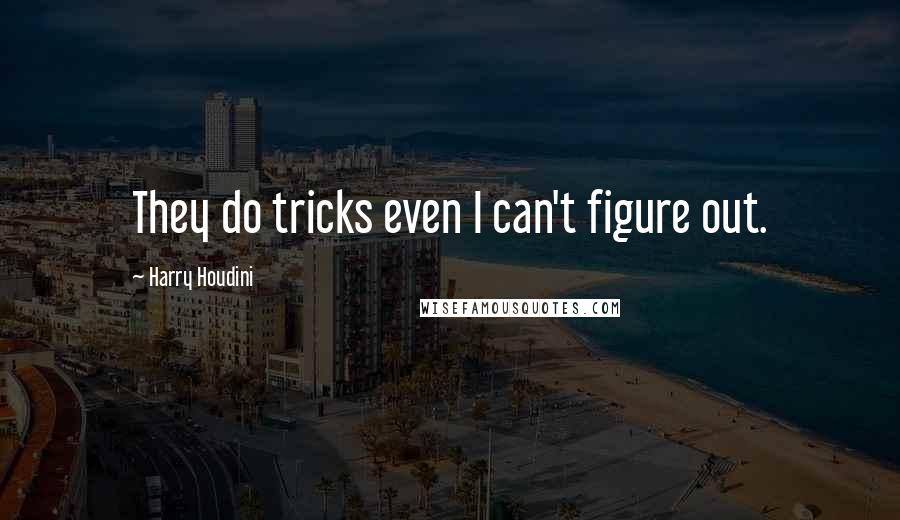 Harry Houdini Quotes: They do tricks even I can't figure out.