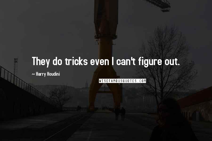 Harry Houdini Quotes: They do tricks even I can't figure out.