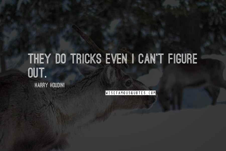 Harry Houdini Quotes: They do tricks even I can't figure out.