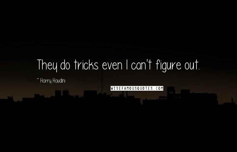 Harry Houdini Quotes: They do tricks even I can't figure out.