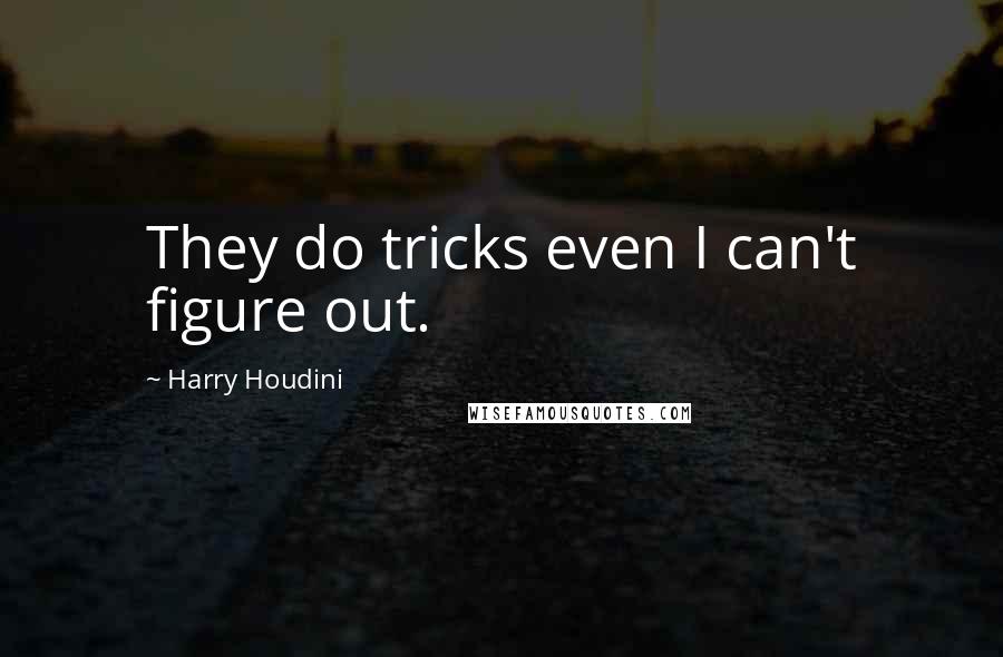 Harry Houdini Quotes: They do tricks even I can't figure out.