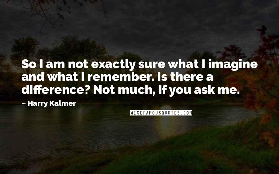 Harry Kalmer Quotes: So I am not exactly sure what I imagine and what I remember. Is there a difference? Not much, if you ask me.