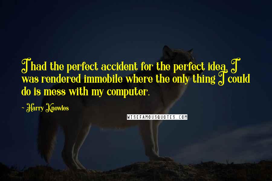 Harry Knowles Quotes: I had the perfect accident for the perfect idea. I was rendered immobile where the only thing I could do is mess with my computer.