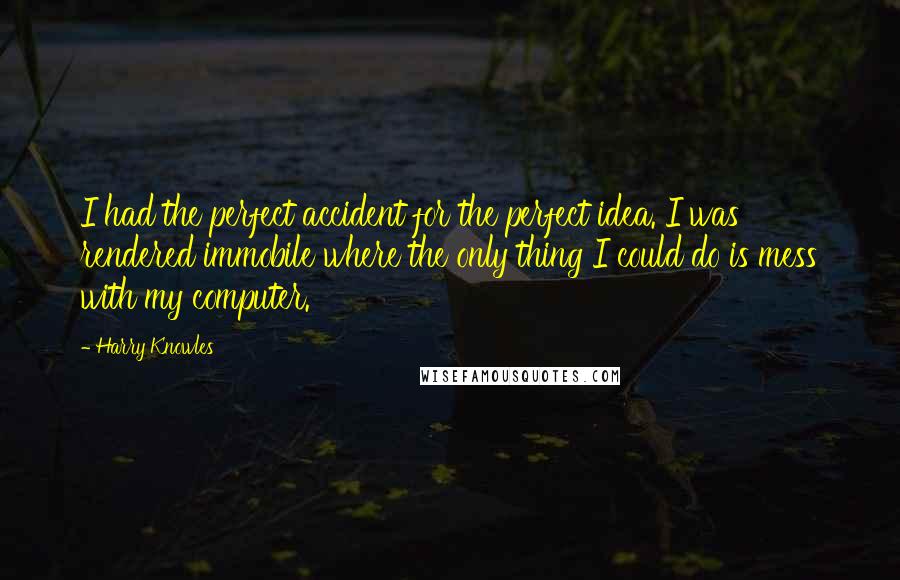 Harry Knowles Quotes: I had the perfect accident for the perfect idea. I was rendered immobile where the only thing I could do is mess with my computer.