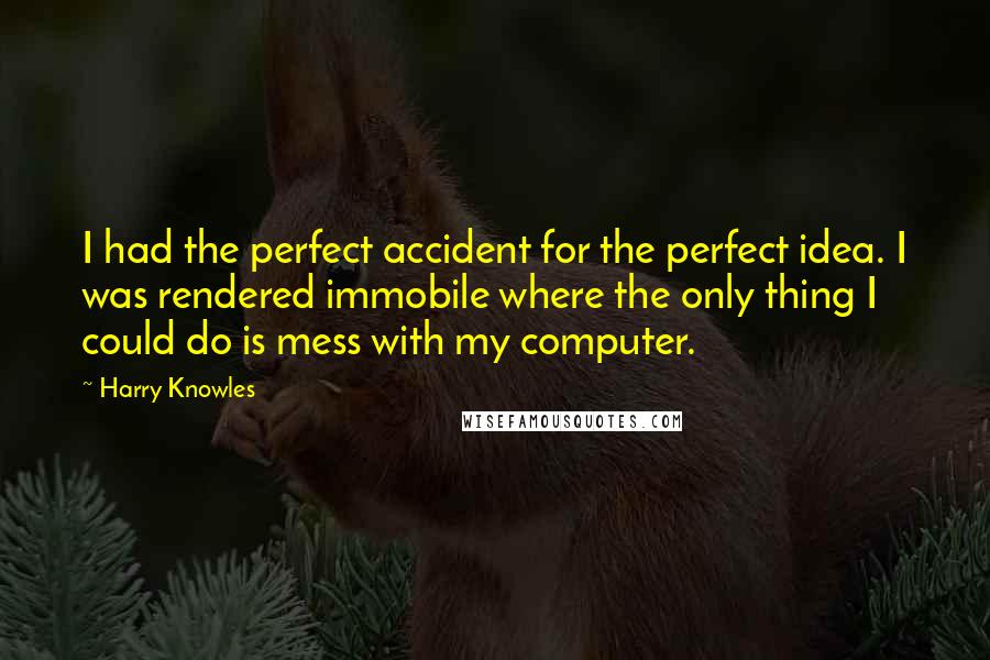 Harry Knowles Quotes: I had the perfect accident for the perfect idea. I was rendered immobile where the only thing I could do is mess with my computer.