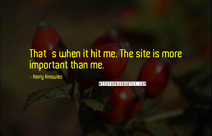 Harry Knowles Quotes: That's when it hit me. The site is more important than me.