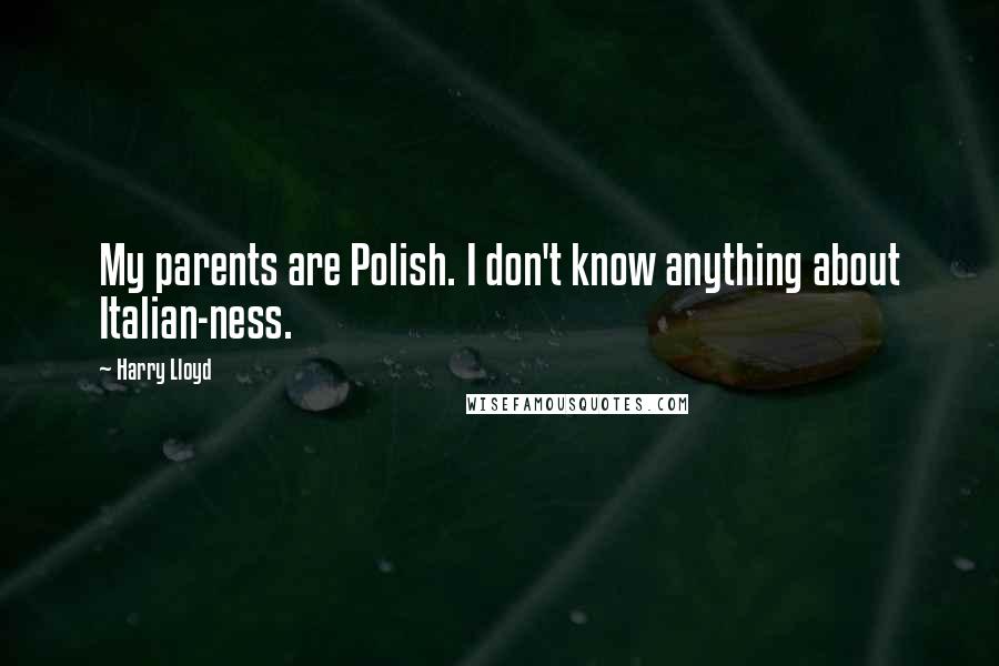 Harry Lloyd Quotes: My parents are Polish. I don't know anything about Italian-ness.