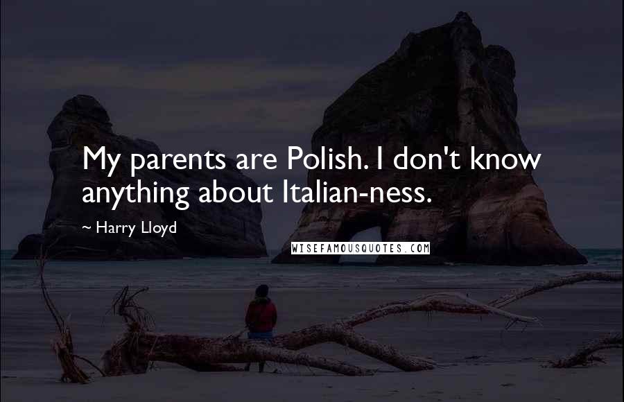 Harry Lloyd Quotes: My parents are Polish. I don't know anything about Italian-ness.