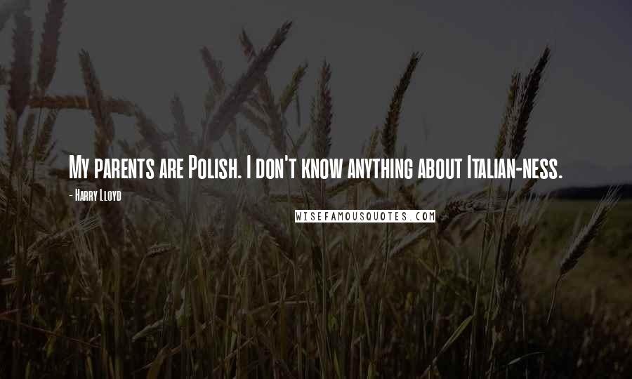 Harry Lloyd Quotes: My parents are Polish. I don't know anything about Italian-ness.