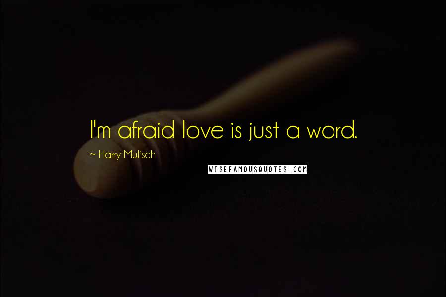 Harry Mulisch Quotes: I'm afraid love is just a word.