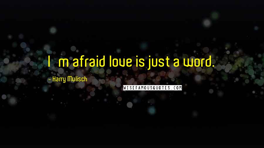 Harry Mulisch Quotes: I'm afraid love is just a word.