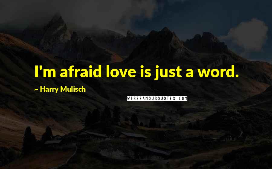 Harry Mulisch Quotes: I'm afraid love is just a word.