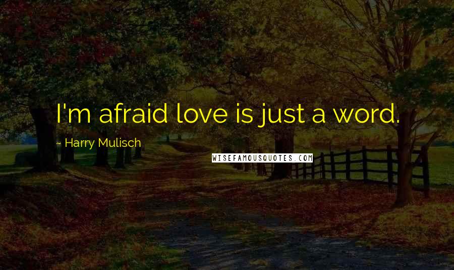 Harry Mulisch Quotes: I'm afraid love is just a word.