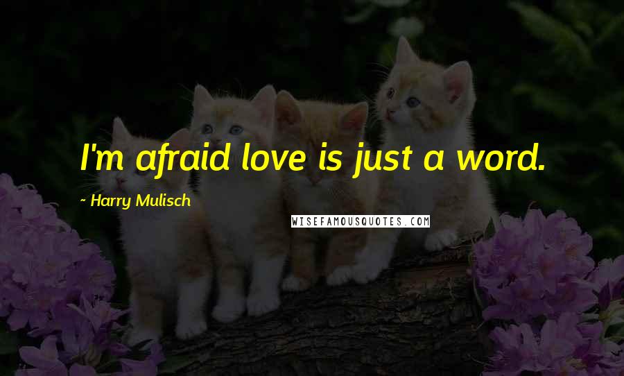 Harry Mulisch Quotes: I'm afraid love is just a word.