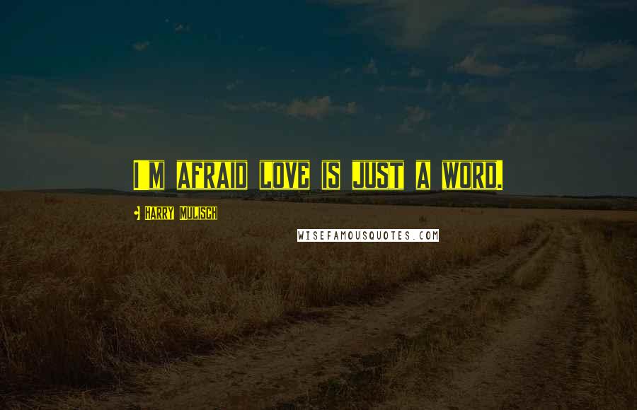 Harry Mulisch Quotes: I'm afraid love is just a word.