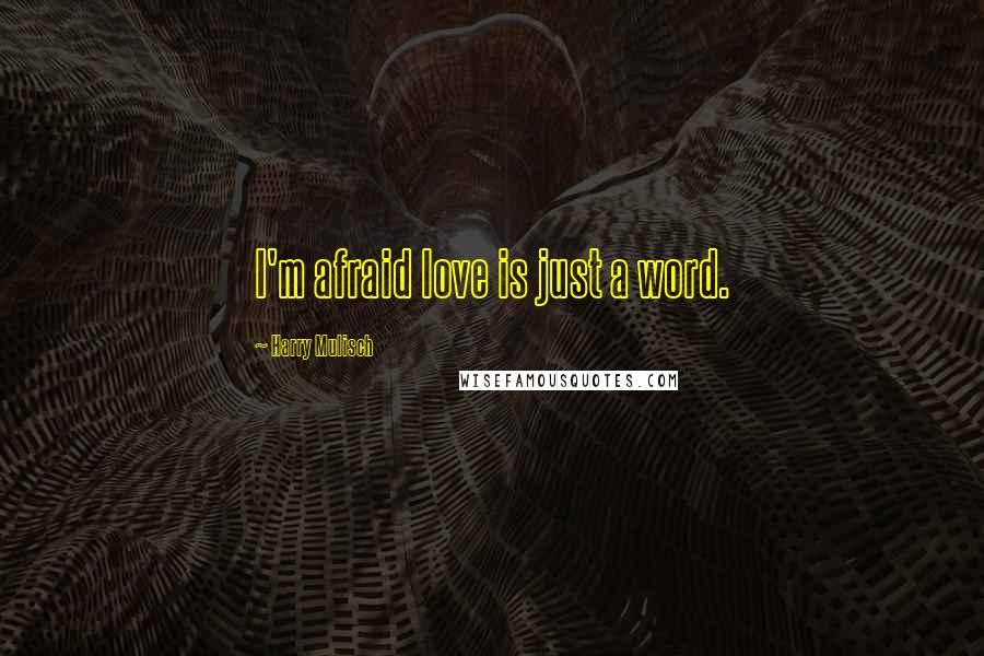 Harry Mulisch Quotes: I'm afraid love is just a word.