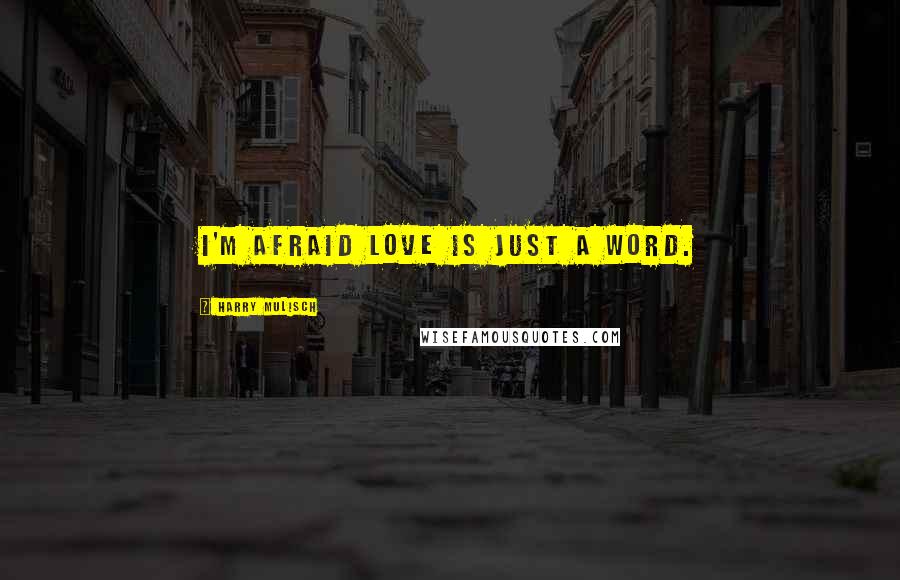 Harry Mulisch Quotes: I'm afraid love is just a word.