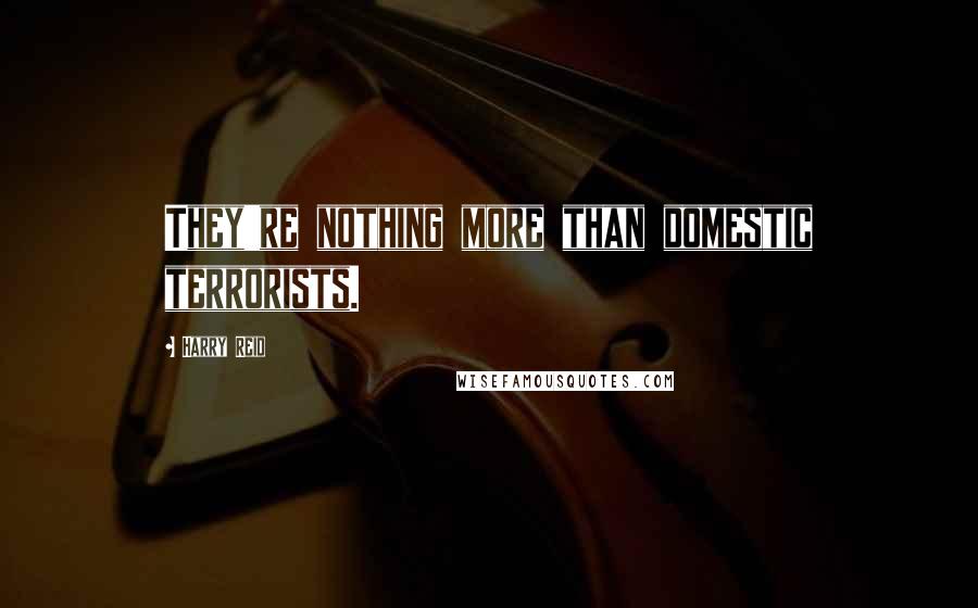 Harry Reid Quotes: They're nothing more than domestic terrorists.