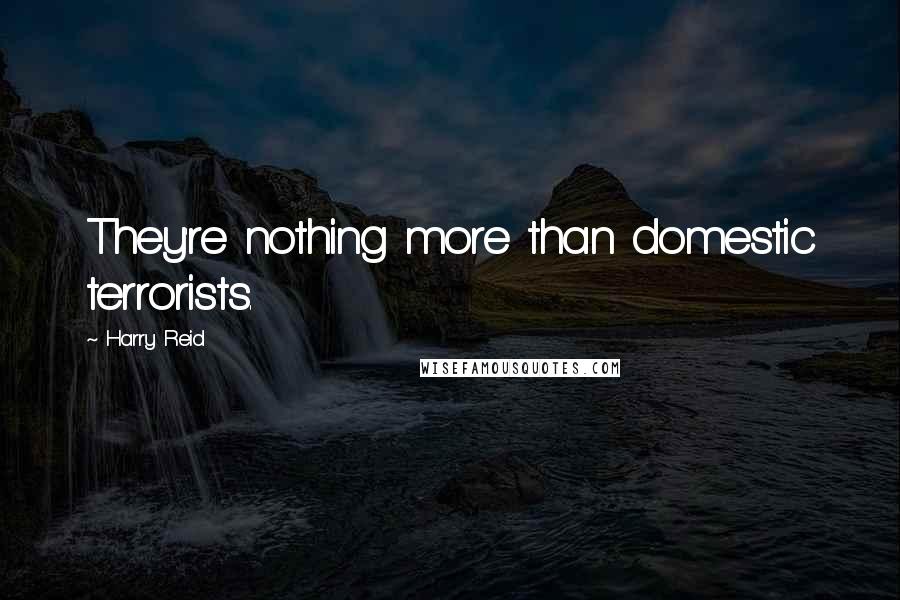 Harry Reid Quotes: They're nothing more than domestic terrorists.