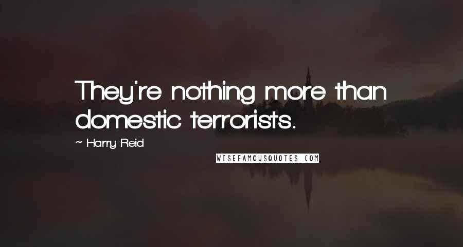 Harry Reid Quotes: They're nothing more than domestic terrorists.