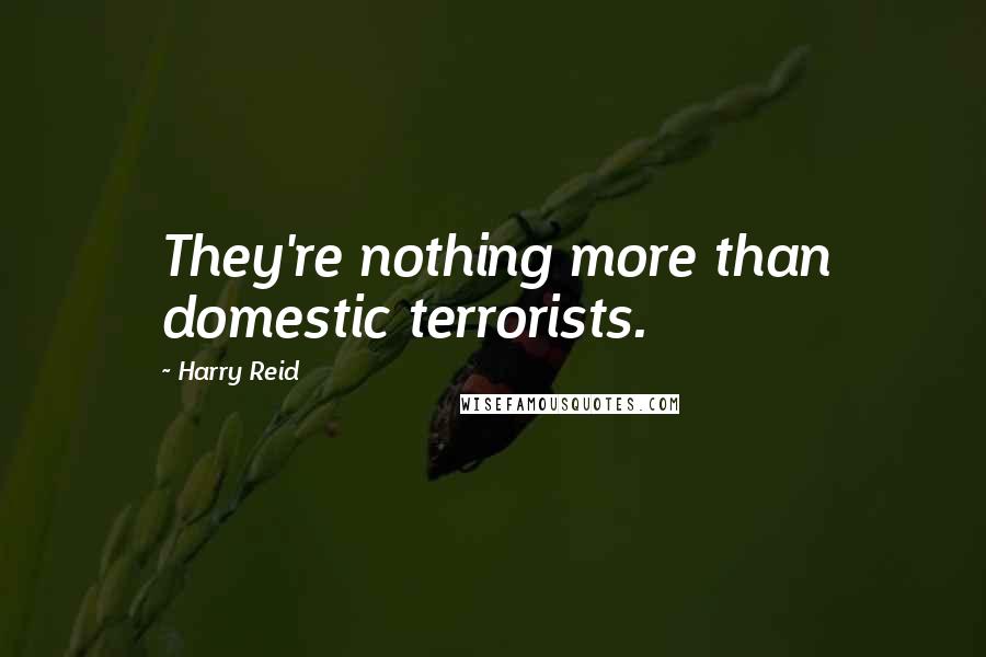 Harry Reid Quotes: They're nothing more than domestic terrorists.