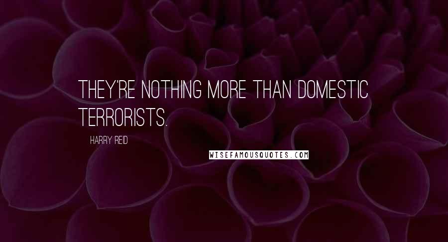 Harry Reid Quotes: They're nothing more than domestic terrorists.