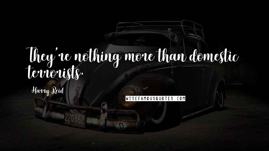 Harry Reid Quotes: They're nothing more than domestic terrorists.