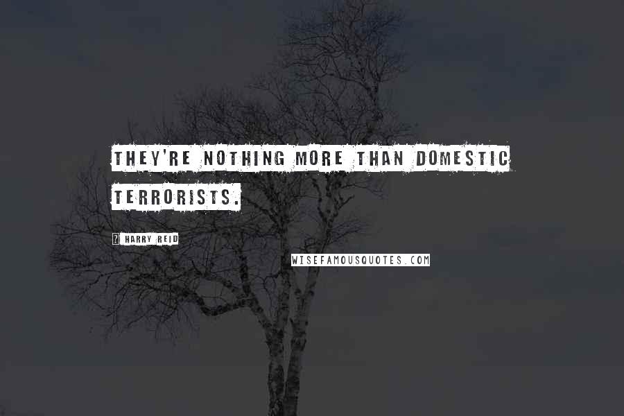 Harry Reid Quotes: They're nothing more than domestic terrorists.
