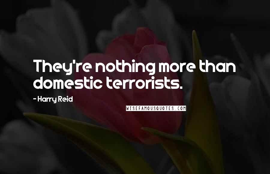 Harry Reid Quotes: They're nothing more than domestic terrorists.