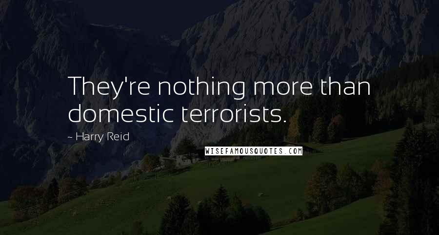 Harry Reid Quotes: They're nothing more than domestic terrorists.